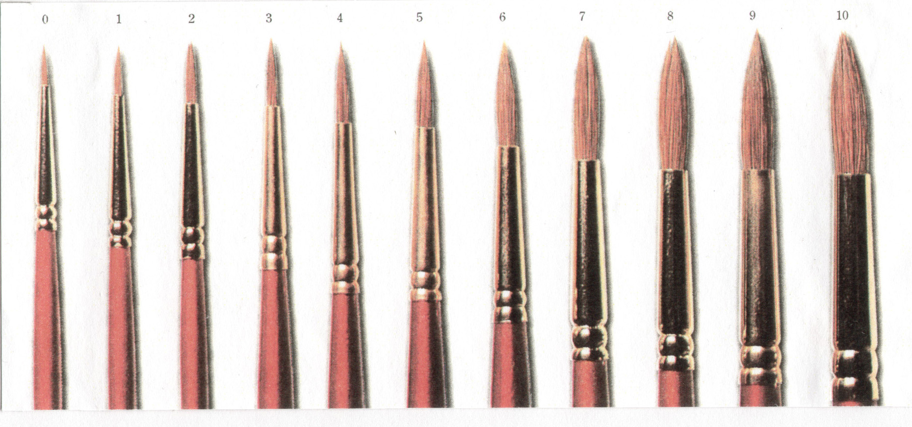 Художественные размера. Кисти Художественные по размерам. Размеры кистей для рисования. Размеры кисточек для рисования. Кисточки для рисования №2.