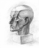глава_2_34
